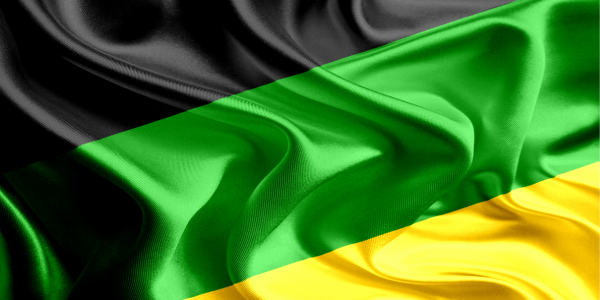 Waving flag of ANC